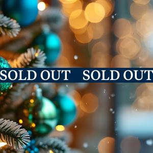 Santa Sold Out 3